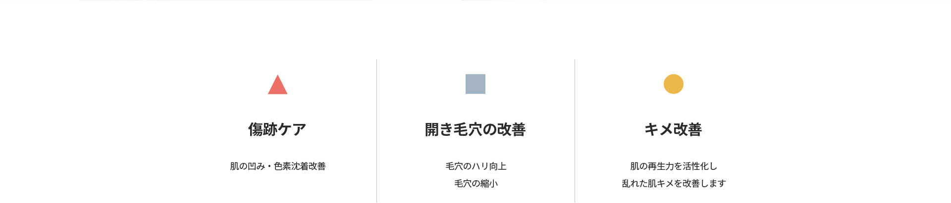 [傷跡ケア] 肌の凹み・色素沈着改善 [開き毛穴の改善] 毛穴のハリ向上 毛穴の縮小 [キメ改善] 肌の再生力を活性化し乱れた肌キメを改善